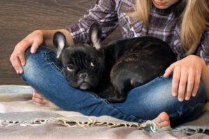 Top 11 Ways Dogs Comfort Us Without Asking For Anything In
Return