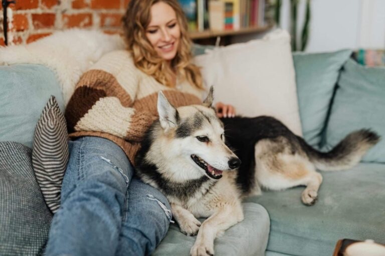 Top 11 Ways Dogs Show They’ll Love You Forever