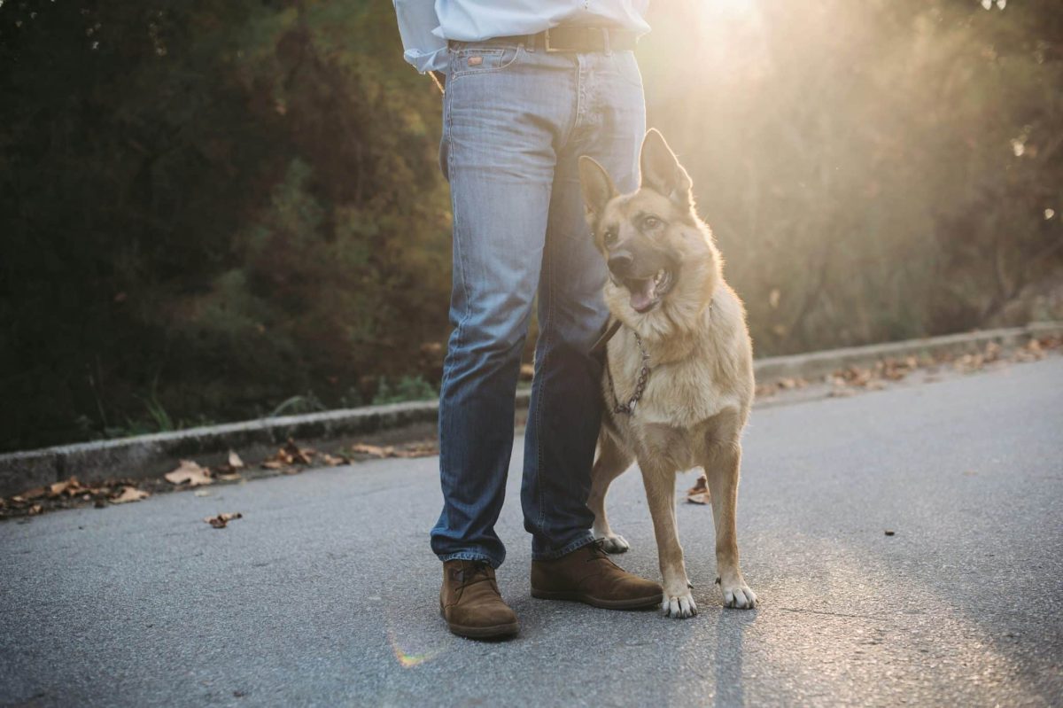 Top 15 Ways Dogs Prove They’ll Never Leave Your Side