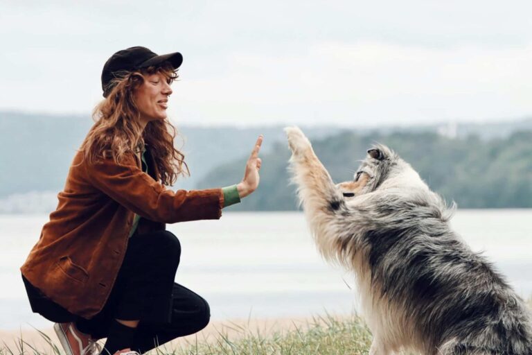 Top 7 Dog Breeds Who Bring Out The Best In Their
Humans