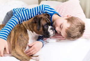 Ultimate 11 Dog Breeds That Create Unforgettable Bonds With
Kids